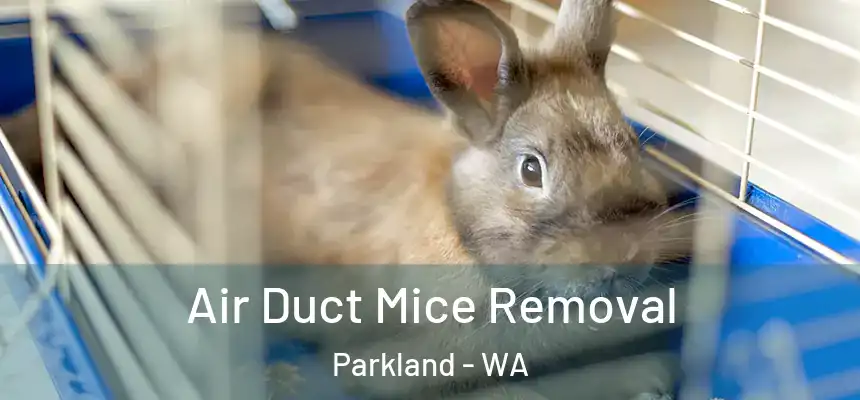 Air Duct Mice Removal Parkland - WA