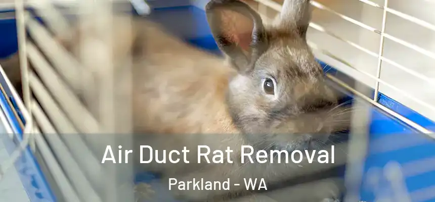 Air Duct Rat Removal Parkland - WA
