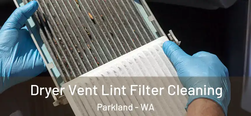  Dryer Vent Lint Filter Cleaning Parkland - WA