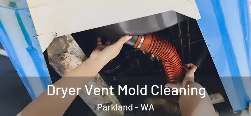 Dryer Vent Mold Cleaning Parkland - WA