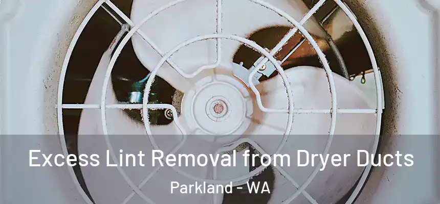  Excess Lint Removal from Dryer Ducts Parkland - WA