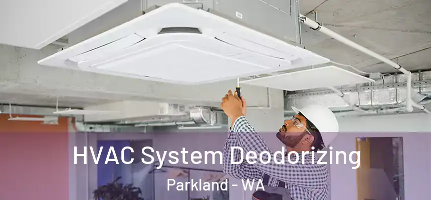 HVAC System Deodorizing Parkland - WA