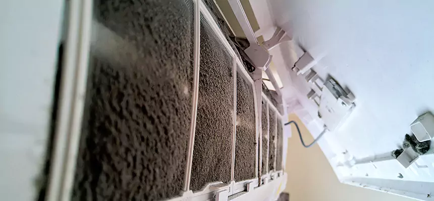 Preventive Air Duct Bacteria Removal in Parkland