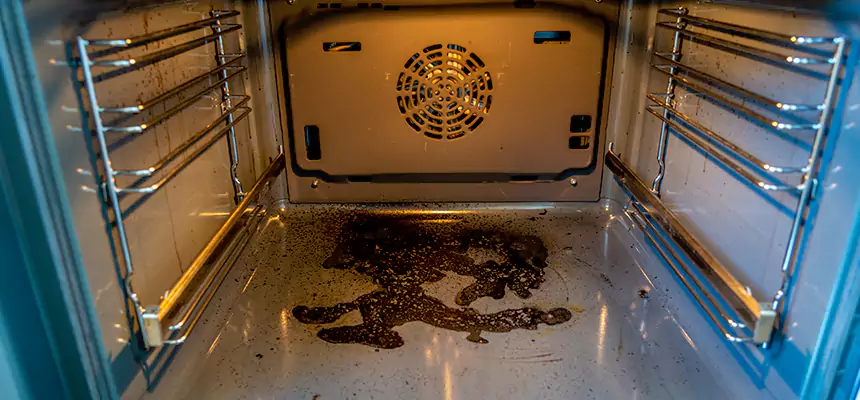 Our Air Purifier Installation Services in Parkland, WA