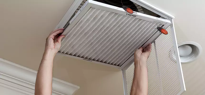 Our Insect Removal from Air Ducts Services in Parkland, WA