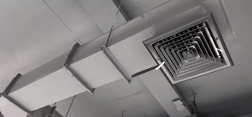 Our Pest Removal From Ducts Services in Parkland, WA