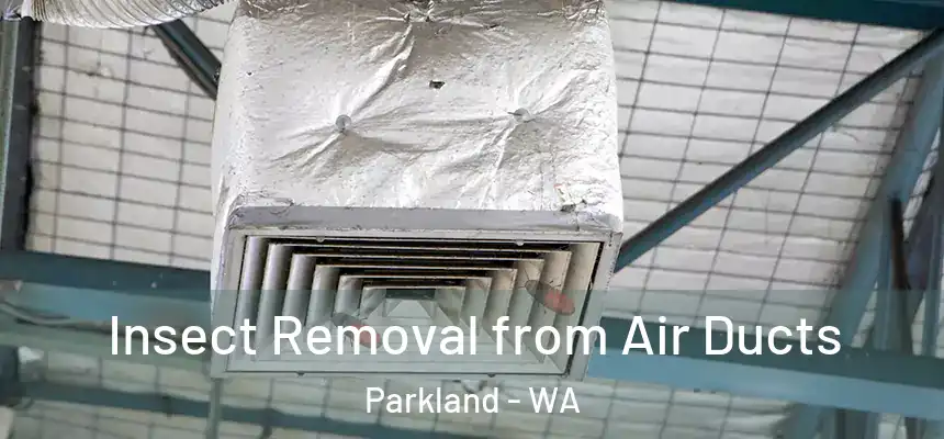 Insect Removal from Air Ducts Parkland - WA