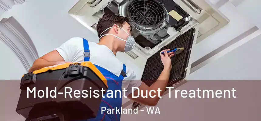 Mold-Resistant Duct Treatment Parkland - WA