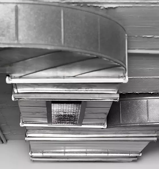 Professional Air Duct Pet Hair Removal in Parkland, WA