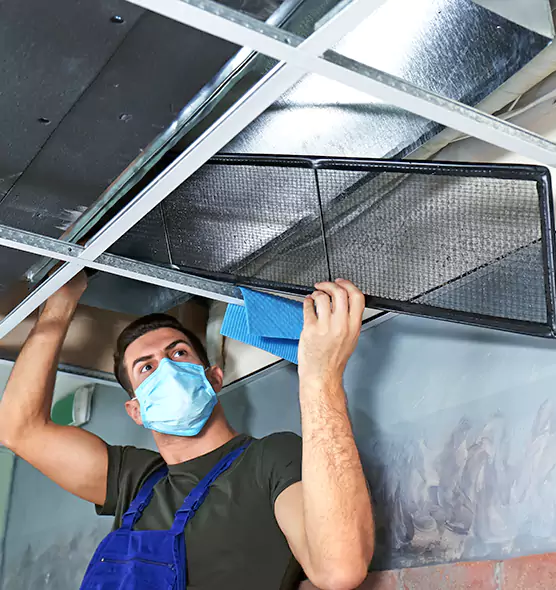 Professional Air Duct Pollen Cleaning in Parkland, WA