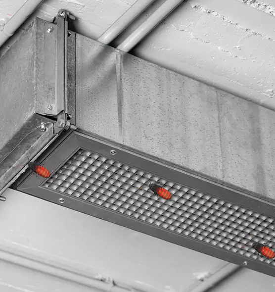 Affordable Insect Removal from Air Ducts in Parkland, WA