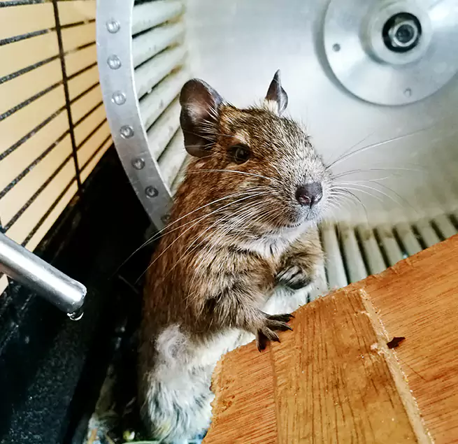 Why Homeowners & Businesses Trust Us Parkland, WA