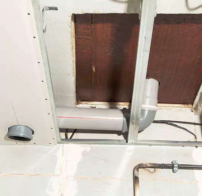 Why Homeowners & Businesses Trust Us in Parkland, WA?