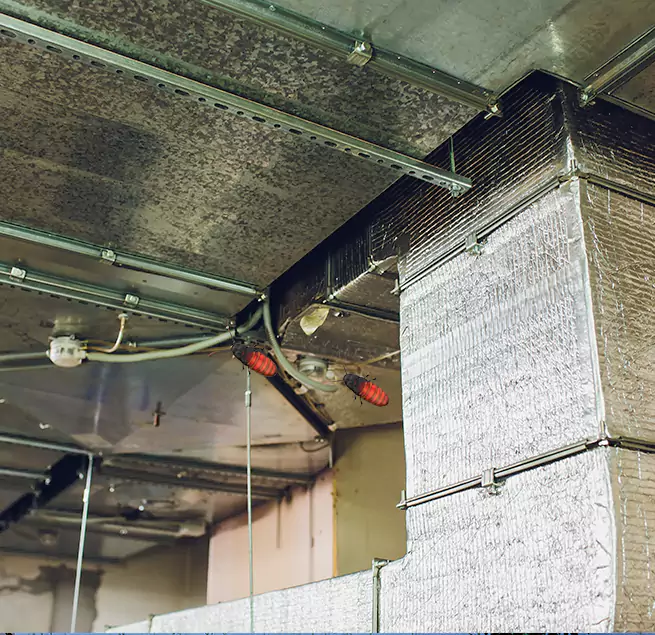 Why Homeowners & Businesses Trust Us Parkland, WA?