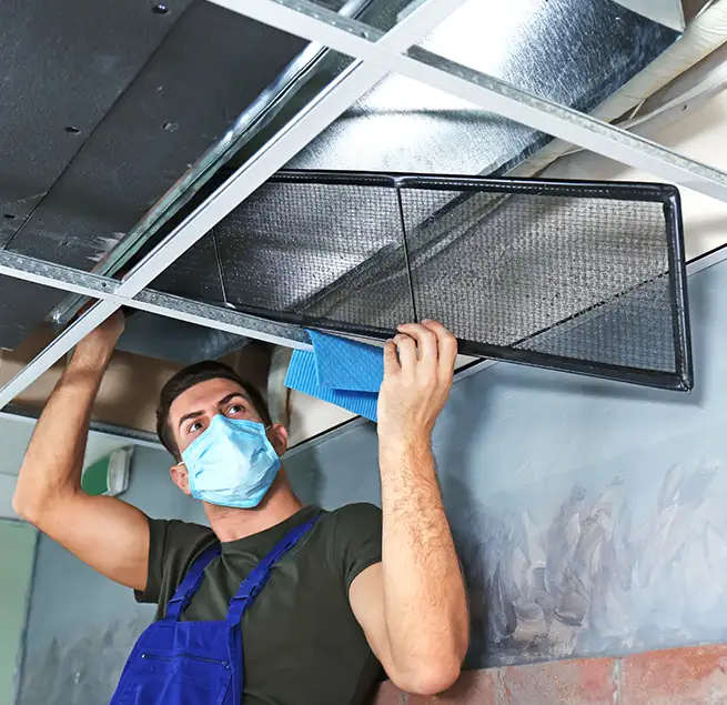 Why Homeowners & Businesses Trust Us in Parkland, WA?