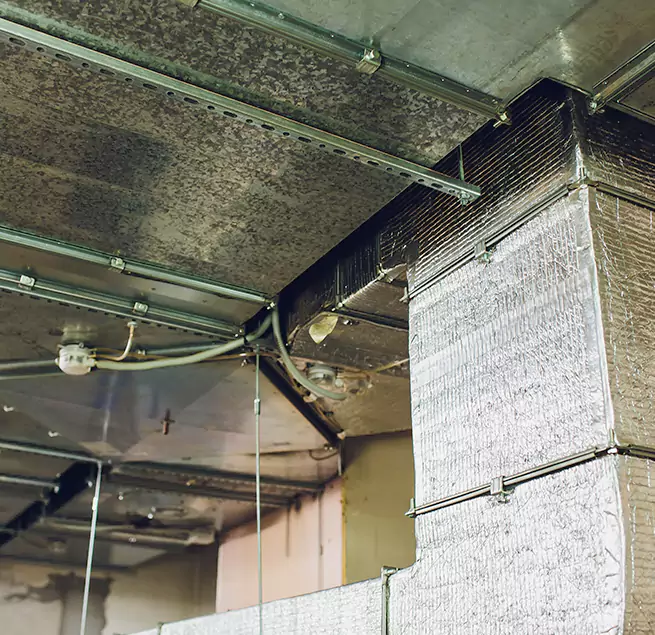 Why Homeowners & Businesses Trust Us in Parkland, WA?