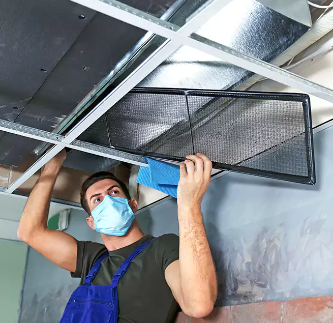 Why Homeowners Businesses Trust Us in Parkland, WA