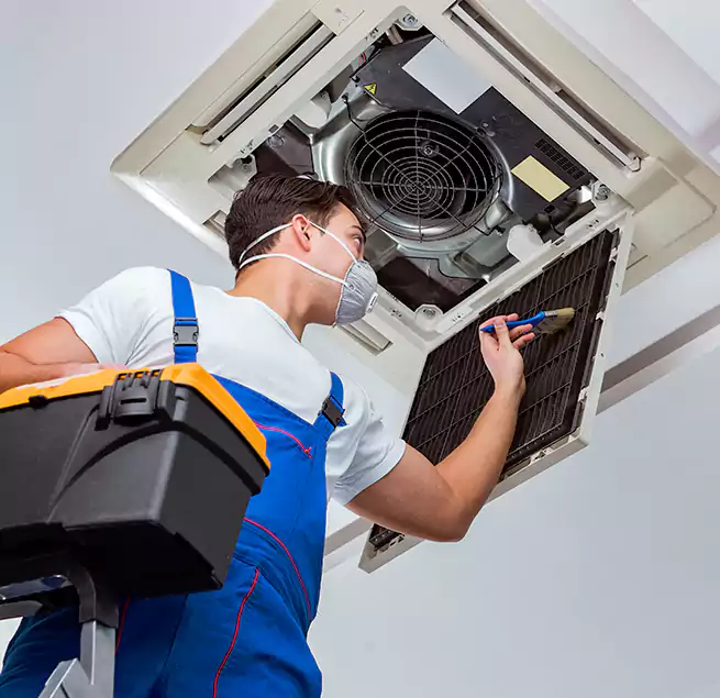 Why Homeowners & Businesses Trust Us in Parkland, WA?